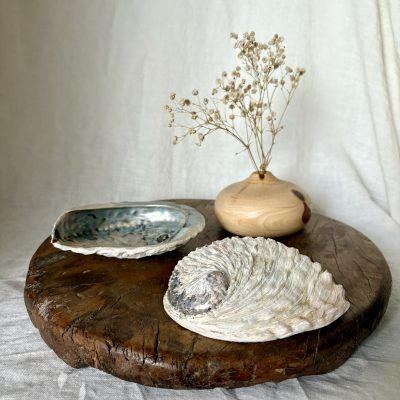 Concha de Abulón para Limpiezas Espirituales